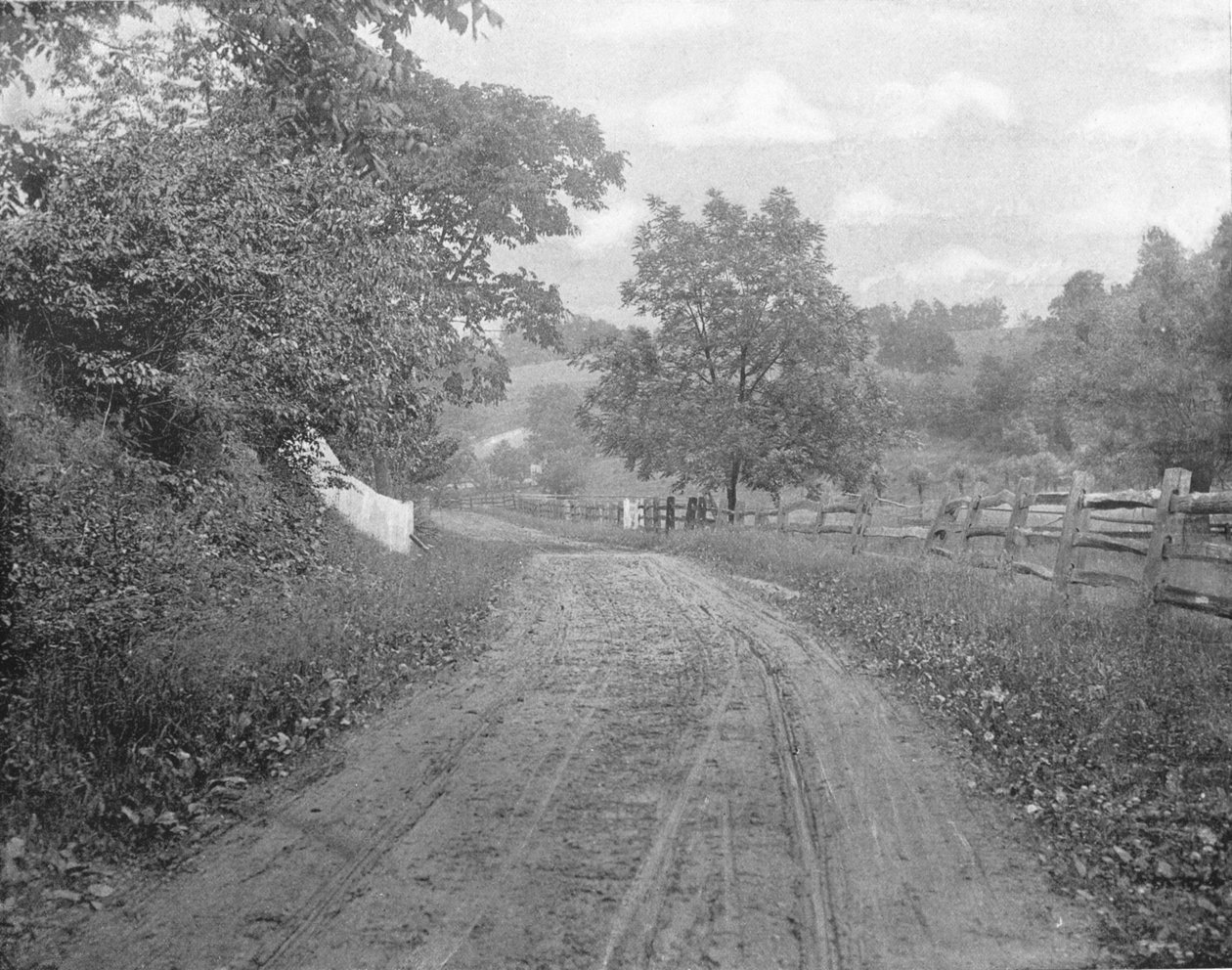 ब्रांडीवाइन, पेंसिल्वेनिया, यूएसए, c1900 के साथ सड़क। द्वारा अज्ञात