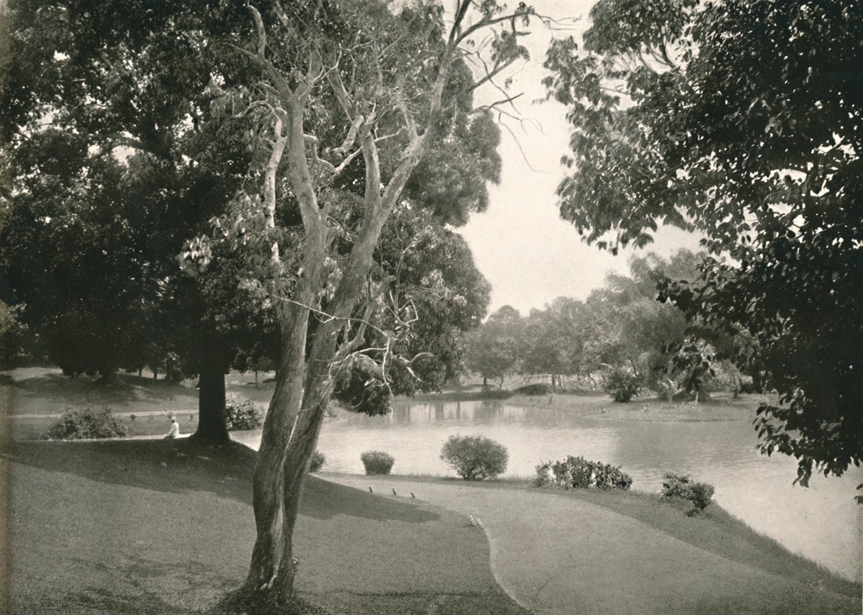 रॉयल लेक, रंगून, 1900। द्वारा अज्ञात
