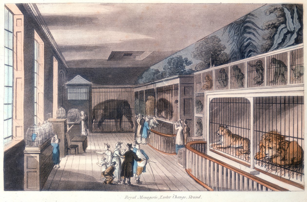 रॉयल मेनगैरी, एक्सेटर चेंज, स्ट्रैंड, लंदन, c1820 द्वारा अज्ञात