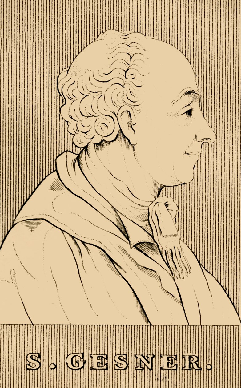 एस। गेसनर, 1730-1788, 1830। द्वारा अज्ञात