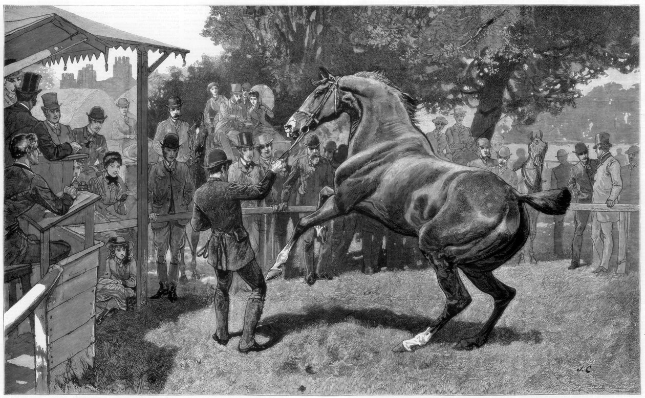 हंटर्स की बिक्री बढ़ रही है और आपत्ति, 1885 द्वारा अज्ञात