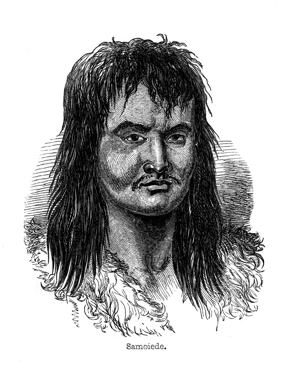 सामोइडे, 1848 द्वारा अज्ञात