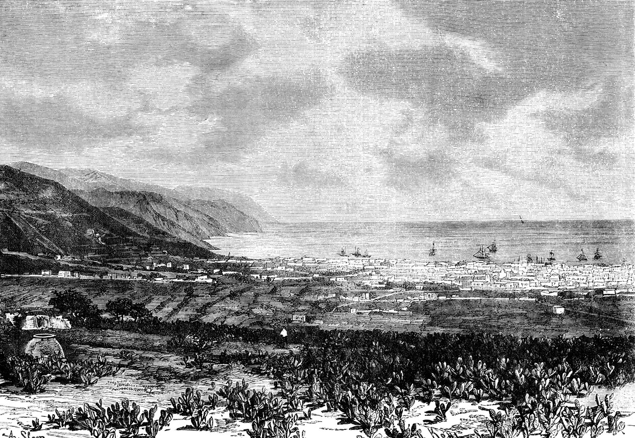सांताक्रूज़, टेनेरिफ़, स्पेन, 1895 द्वारा अज्ञात