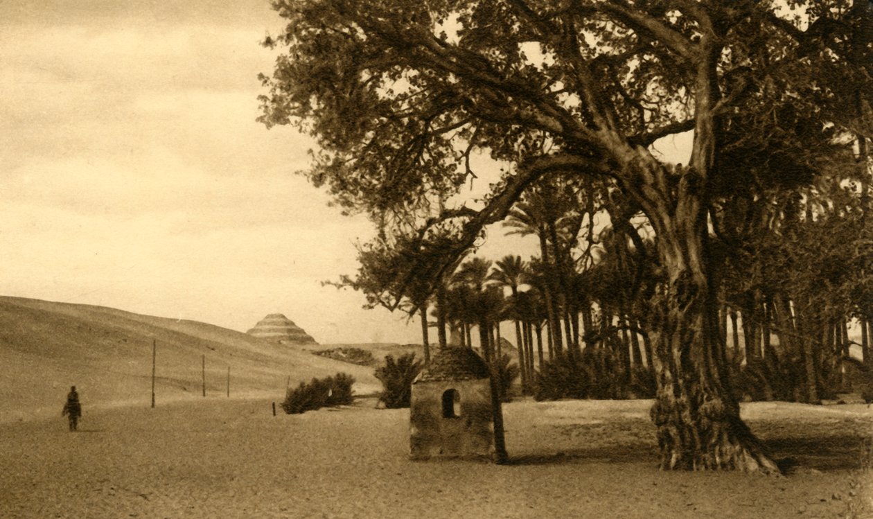 सक्कारा - सीकोमोर से देखा गया चरण पिरामिड, c1918-c1939। द्वारा अज्ञात