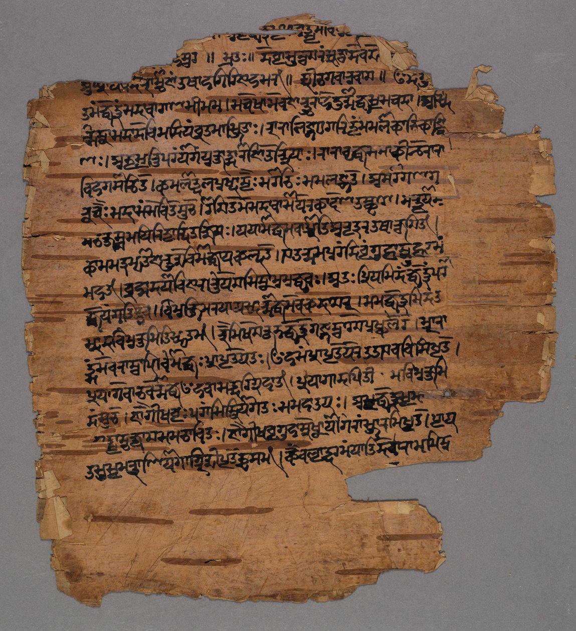 सारदा स्क्रिप्ट, 1600s। द्वारा अज्ञात