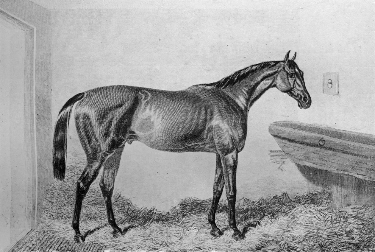 सॉसेबॉक्स, c1840-1880, 1911 द्वारा अज्ञात