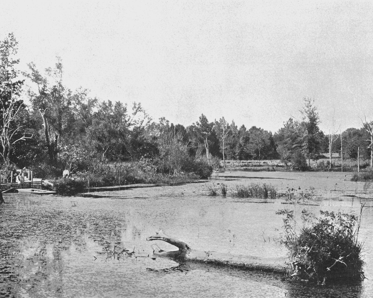 मिसिसिपी, संयुक्त राज्य अमेरिका में दृश्य, c1900। द्वारा अज्ञात