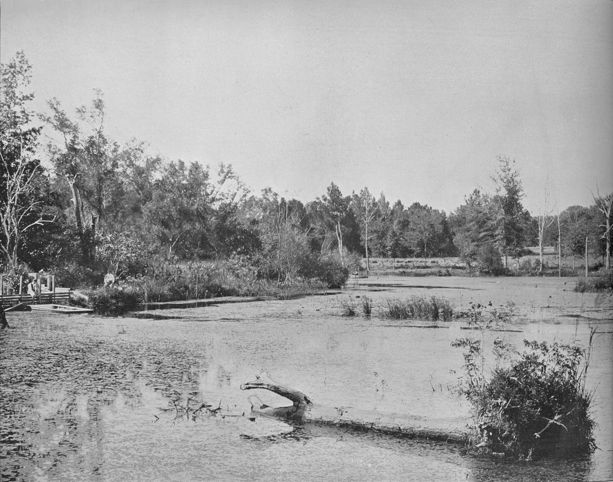 मिसिसिपी में दृश्य, c1897। द्वारा अज्ञात