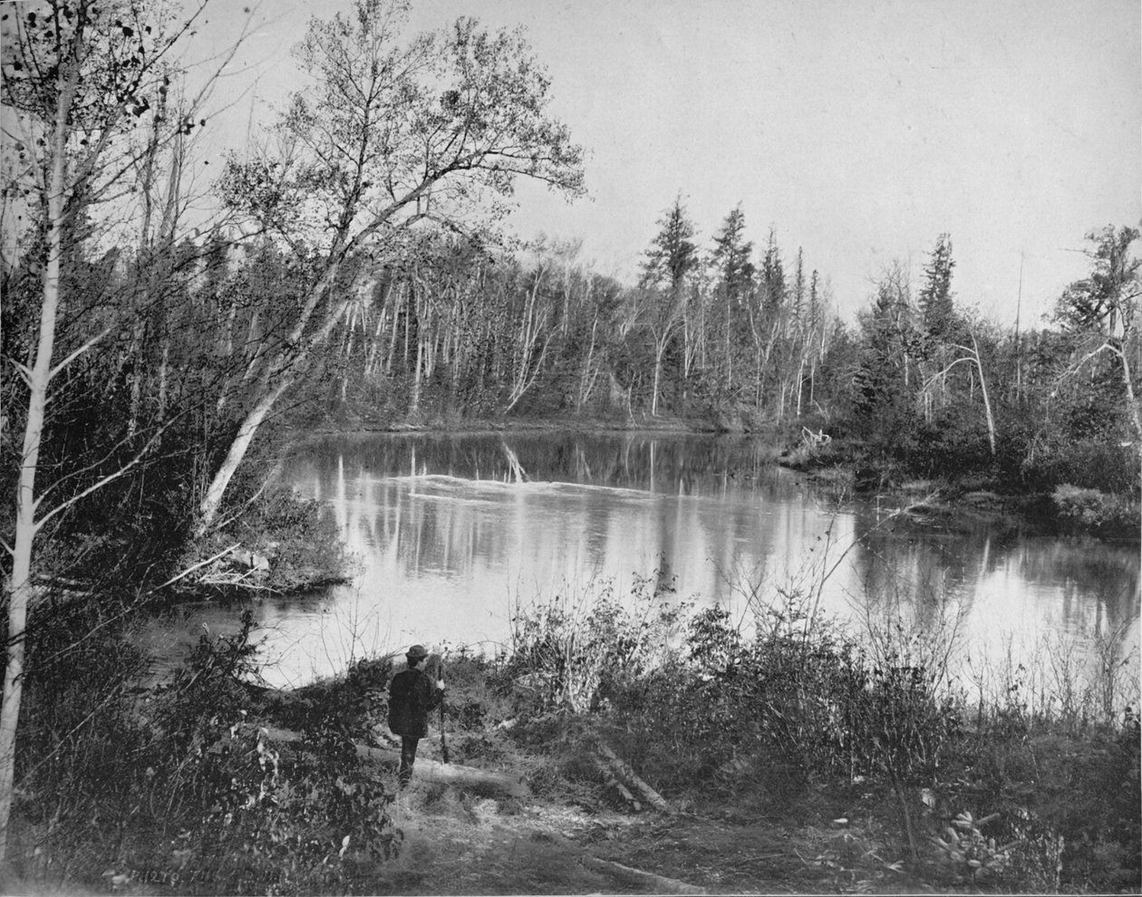 Peshtigo नदी पर दृश्य, विस्कॉन्सिन, c1897। द्वारा अज्ञात