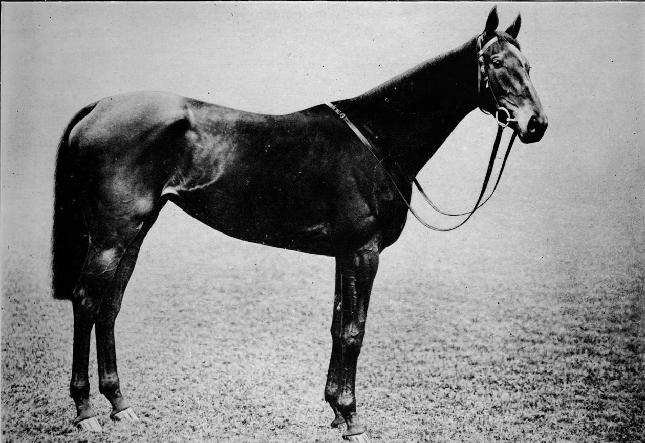 राजदंड, 1899-1926, 1911 द्वारा अज्ञात