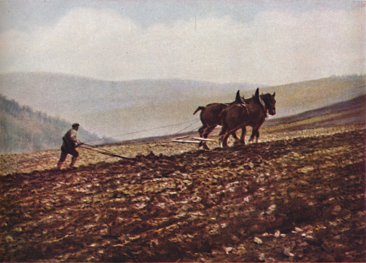 स्कॉटलैंड, c1930s द्वारा अज्ञात