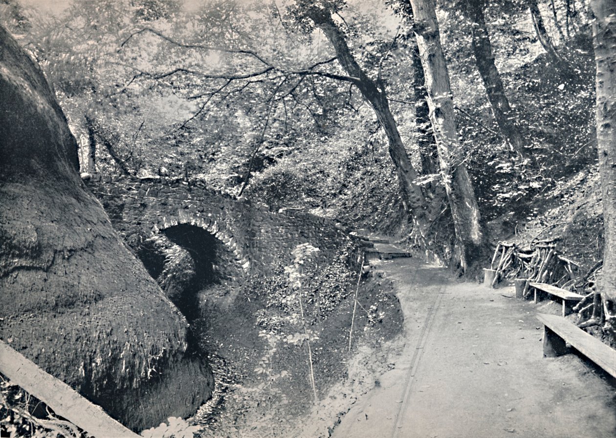 शंकलिन - द चाइन, 1895 द्वारा अज्ञात