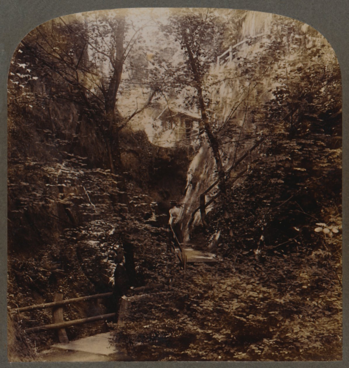 विश्व-व्यापी प्रसिद्धि के शंकलिन चाइन, आइल ऑफ वाइट, इंग्लैंड, c1910। द्वारा अज्ञात