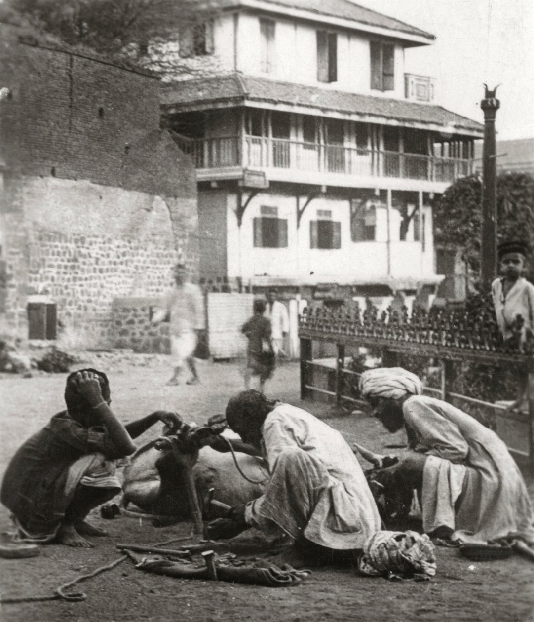 बैल पर जूता मारना, भारत, c1927-c1929 द्वारा अज्ञात