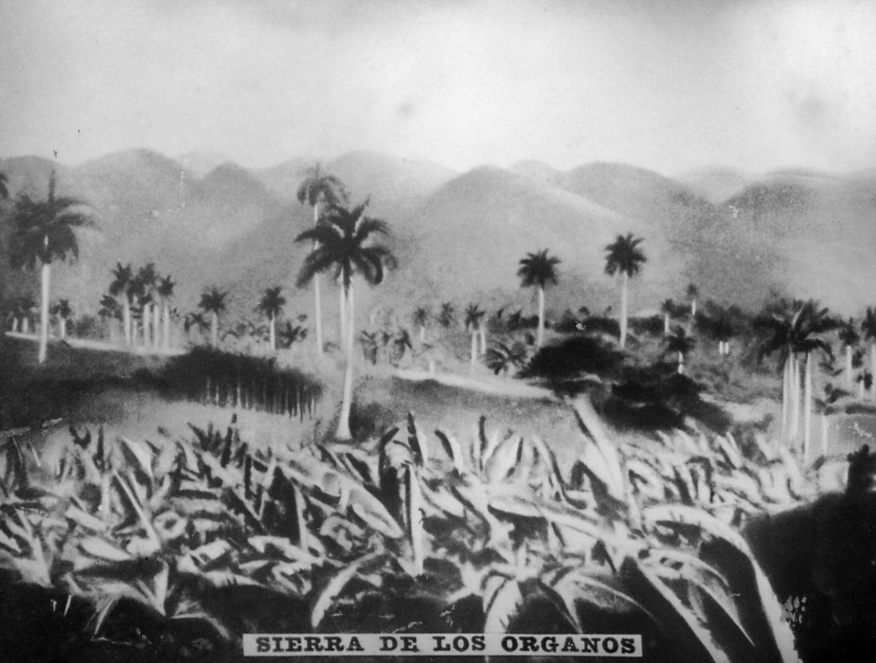 सिएरा डे लॉस ऑर्गनोस, 1896, 1920 द्वारा अज्ञात