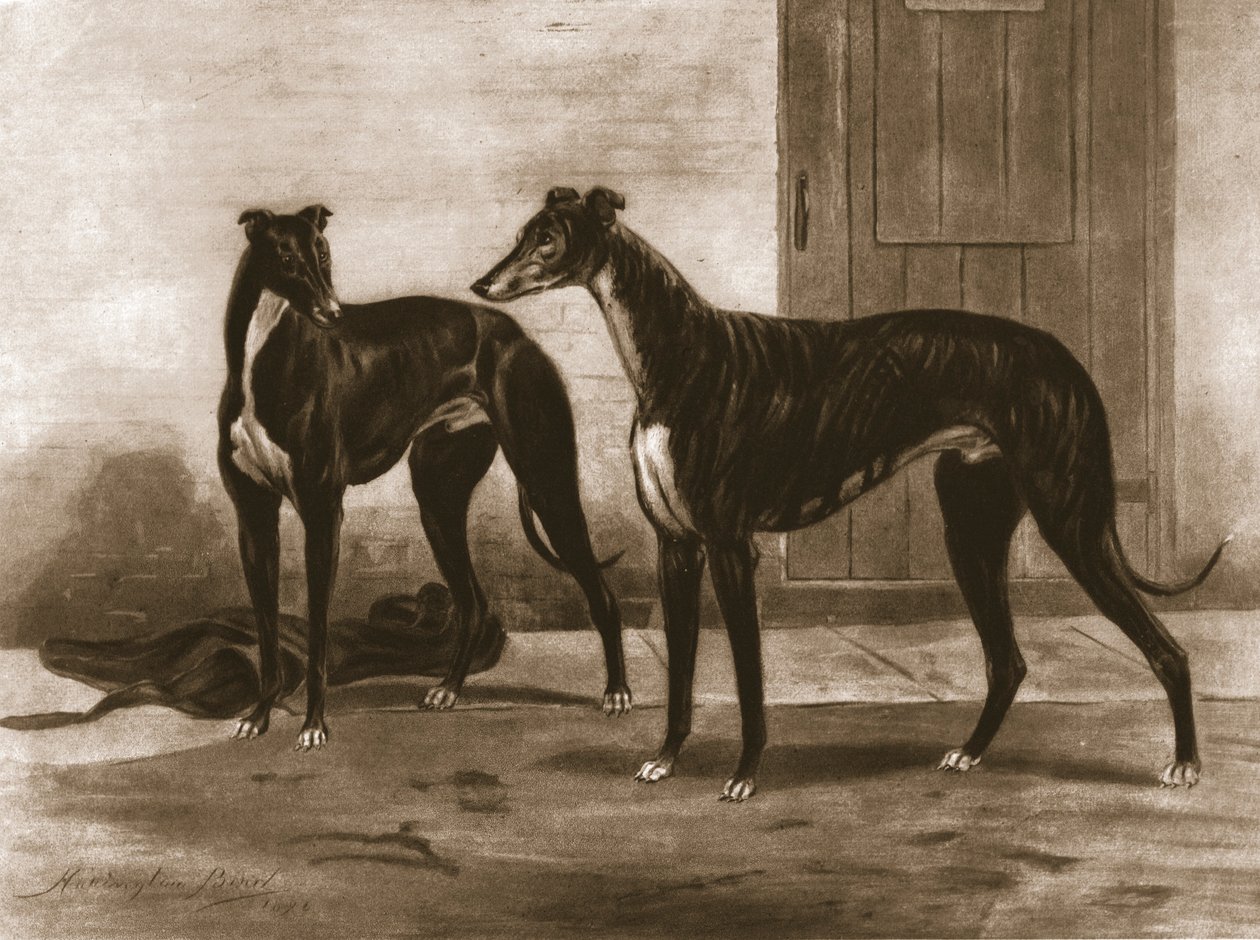 सिमोनियन एंड फुलर्टन, c1891, 1911। द्वारा अज्ञात