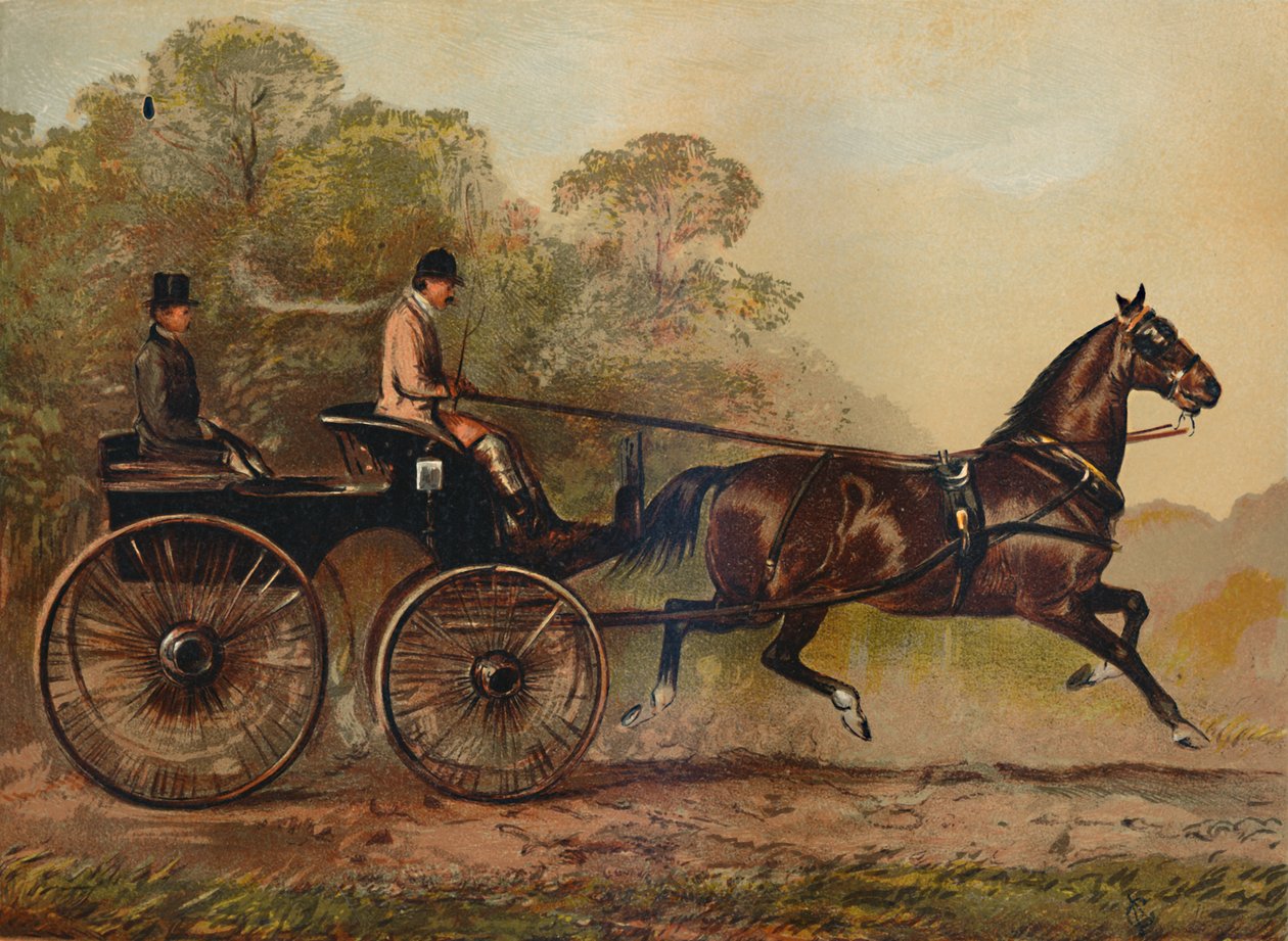 सिंगल हार्नेस फेटन हॉर्स कोलंबिन। चार्ल्स बेनेस एस्क की संपत्ति।, 1872, सी 1879 द्वारा अज्ञात