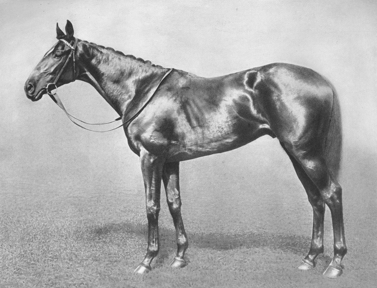 सर आर्चीबाल्ड, 1911 द्वारा अज्ञात