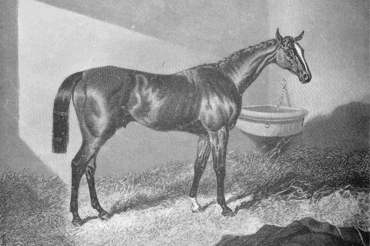 सर टैटन साइक्स, 1842-1860, 1911 द्वारा अज्ञात