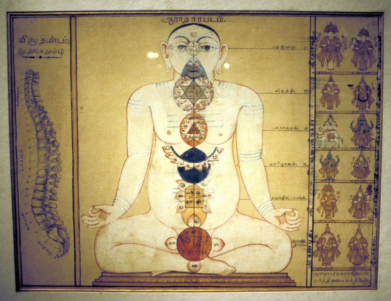 मानव शरीर, तंजौर, तमिलनाडु, c1850 के प्लेक्सस का प्रतिनिधित्व करने वाले छह चक्र द्वारा अज्ञात