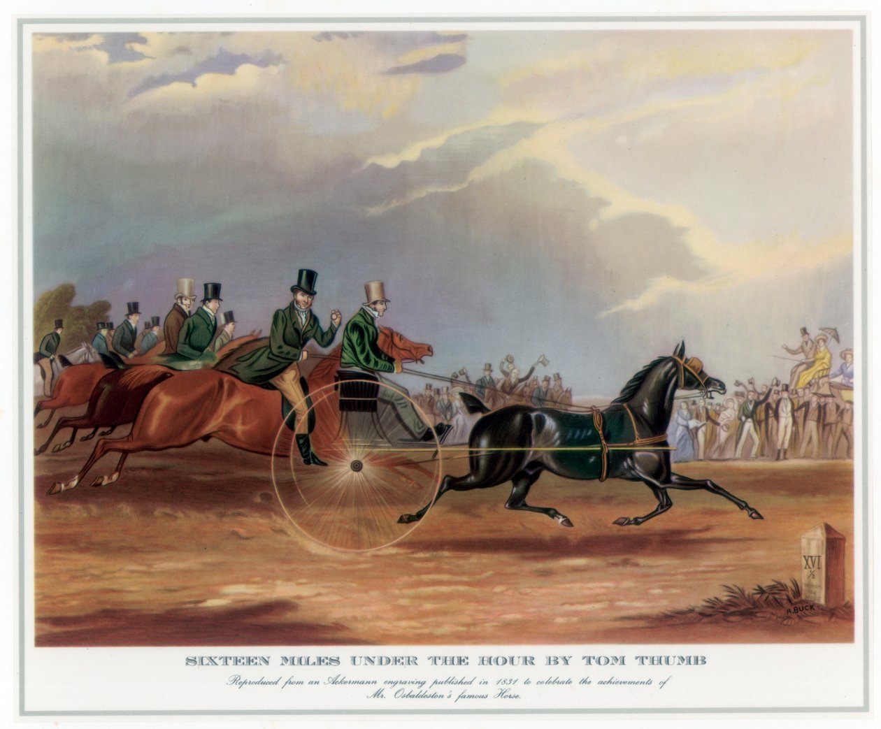 टॉम थम्ब, 1831 के घंटे के तहत सोलह मील द्वारा अज्ञात