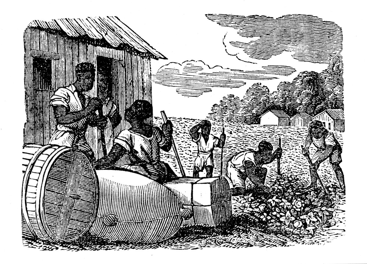 तम्बाकू रोपण पर काम करने वाले दास, 1833 द्वारा अज्ञात