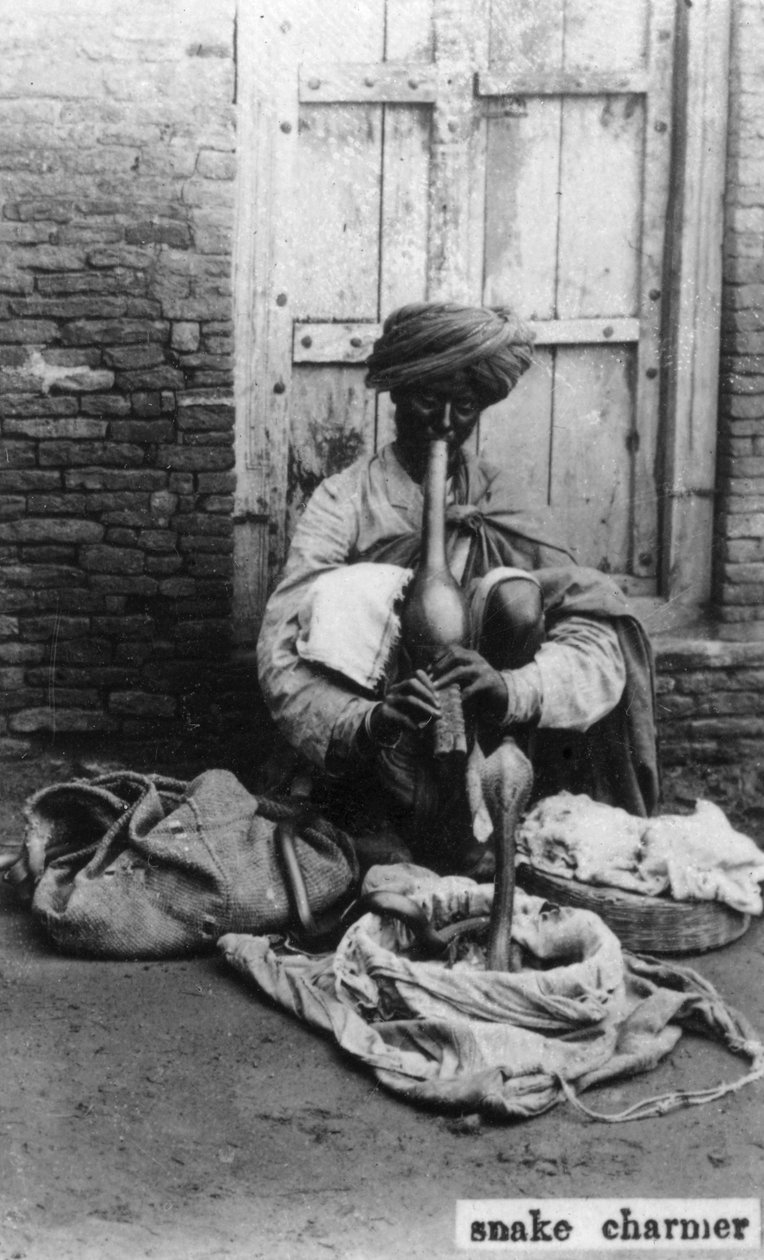 सांप छछूंदर, भारत, 20 वीं सदी द्वारा अज्ञात