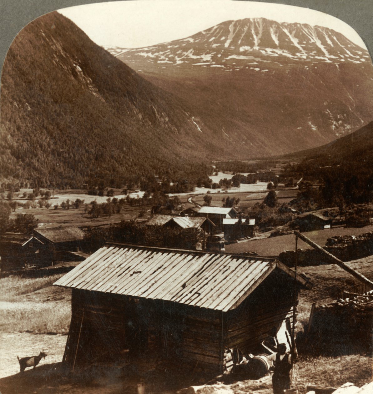 माउंट की बर्फीली ऊंचाइयां। Gausta 6180 फीट।, Maan Valley, नॉर्वे में शांत घरों के ऊपर, c1905। द्वारा अज्ञात