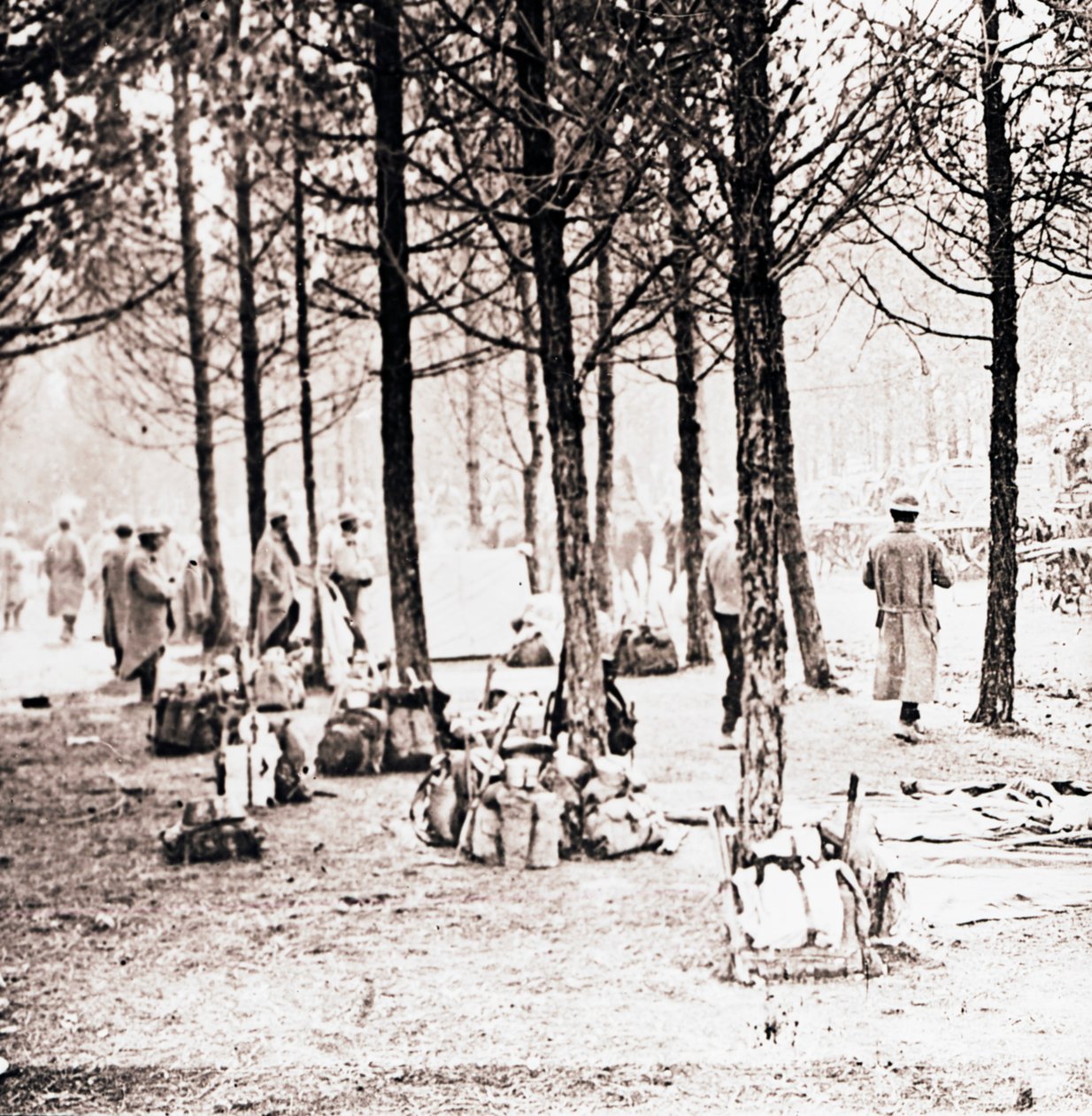 जंगल में सैनिक और पैक, c1914-c1918 द्वारा अज्ञात