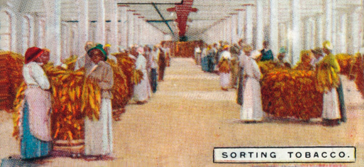 छंटाई तम्बाकू, 1926 द्वारा अज्ञात