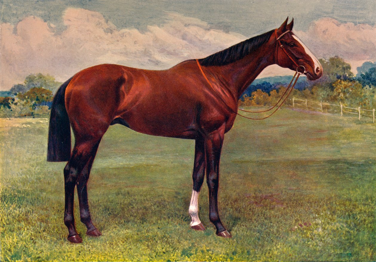 स्पीयरमिंट, c1905 c1910 द्वारा अज्ञात