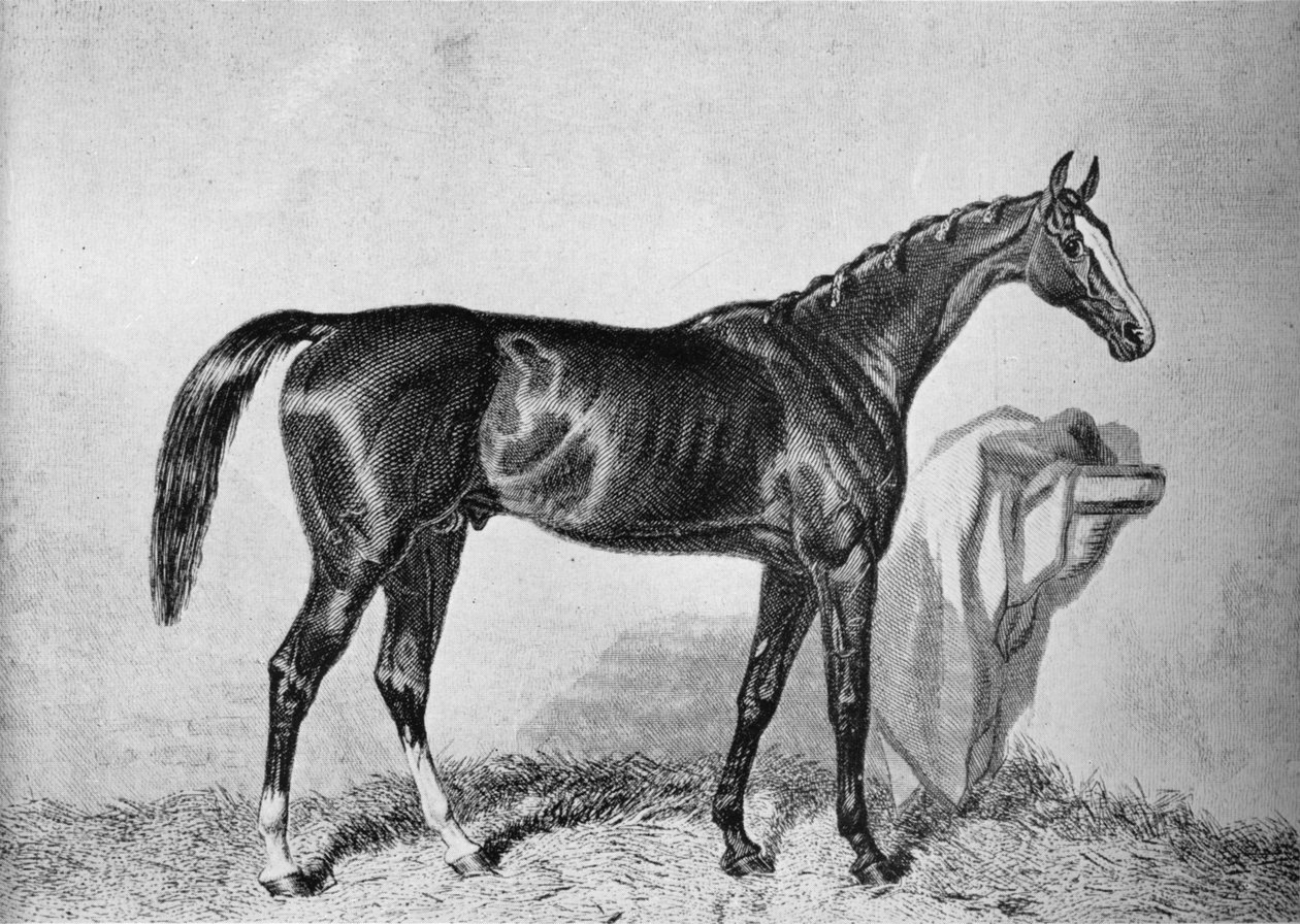 सेंट एल्बंस, c19 वीं शताब्दी, 1911 द्वारा अज्ञात