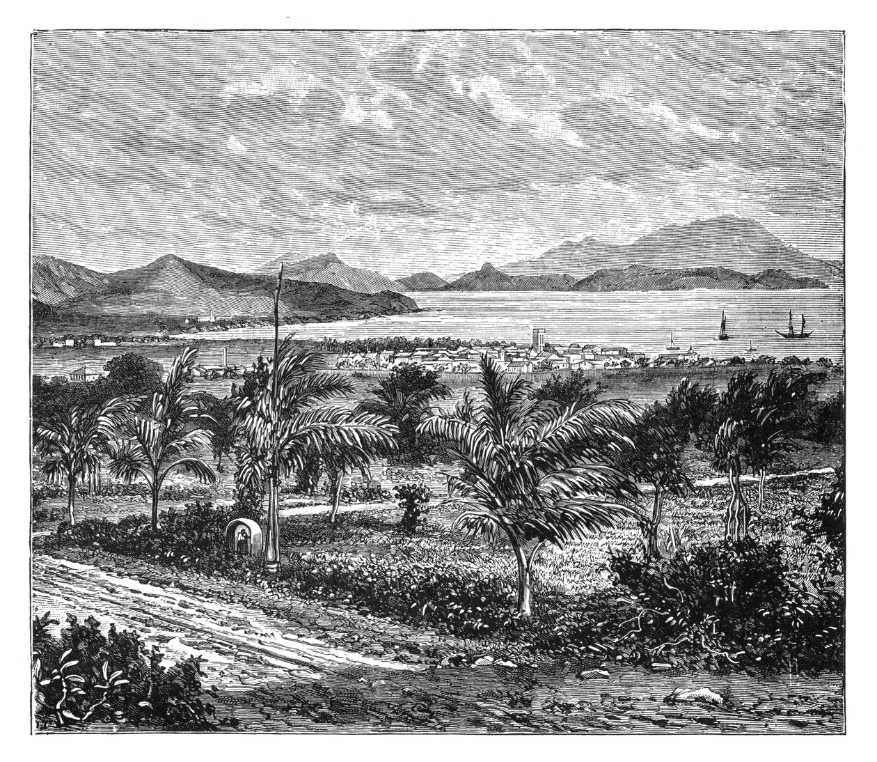 सेंट किट्स, नेविस से लिया गया दृश्य, c1890 द्वारा अज्ञात