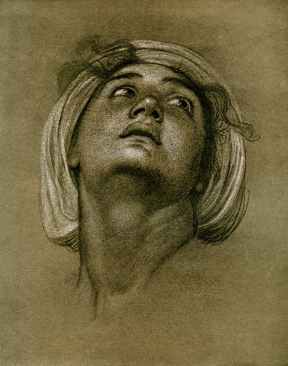 एक सिर का अध्ययन, 1901 द्वारा अज्ञात