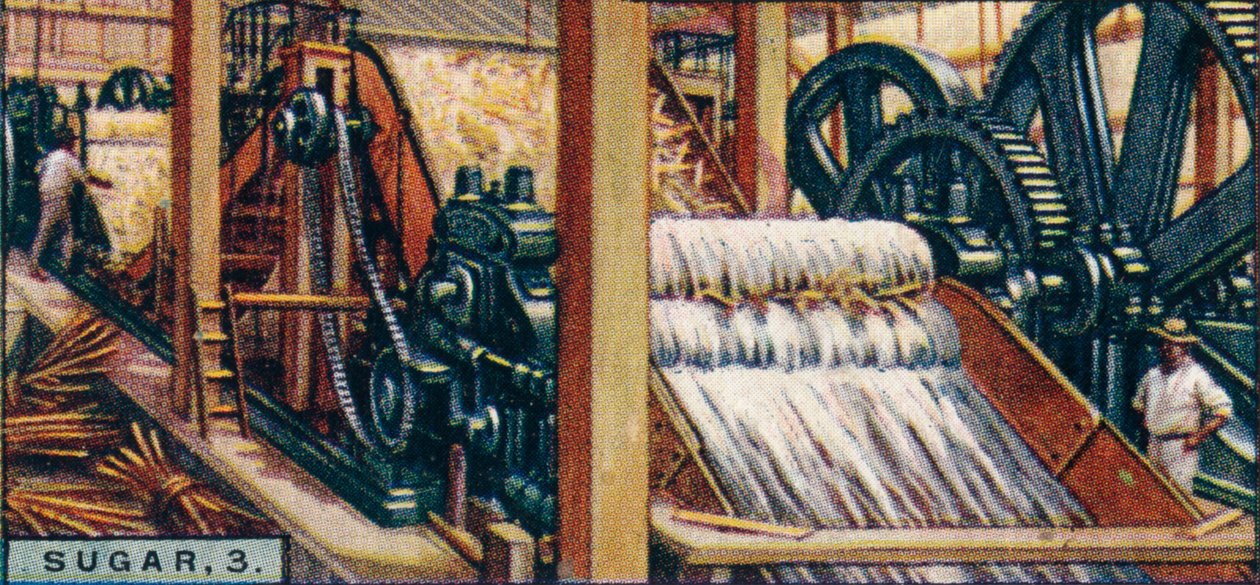चीनी, 3. कैन को कुचलने, जावा, 1928 द्वारा अज्ञात