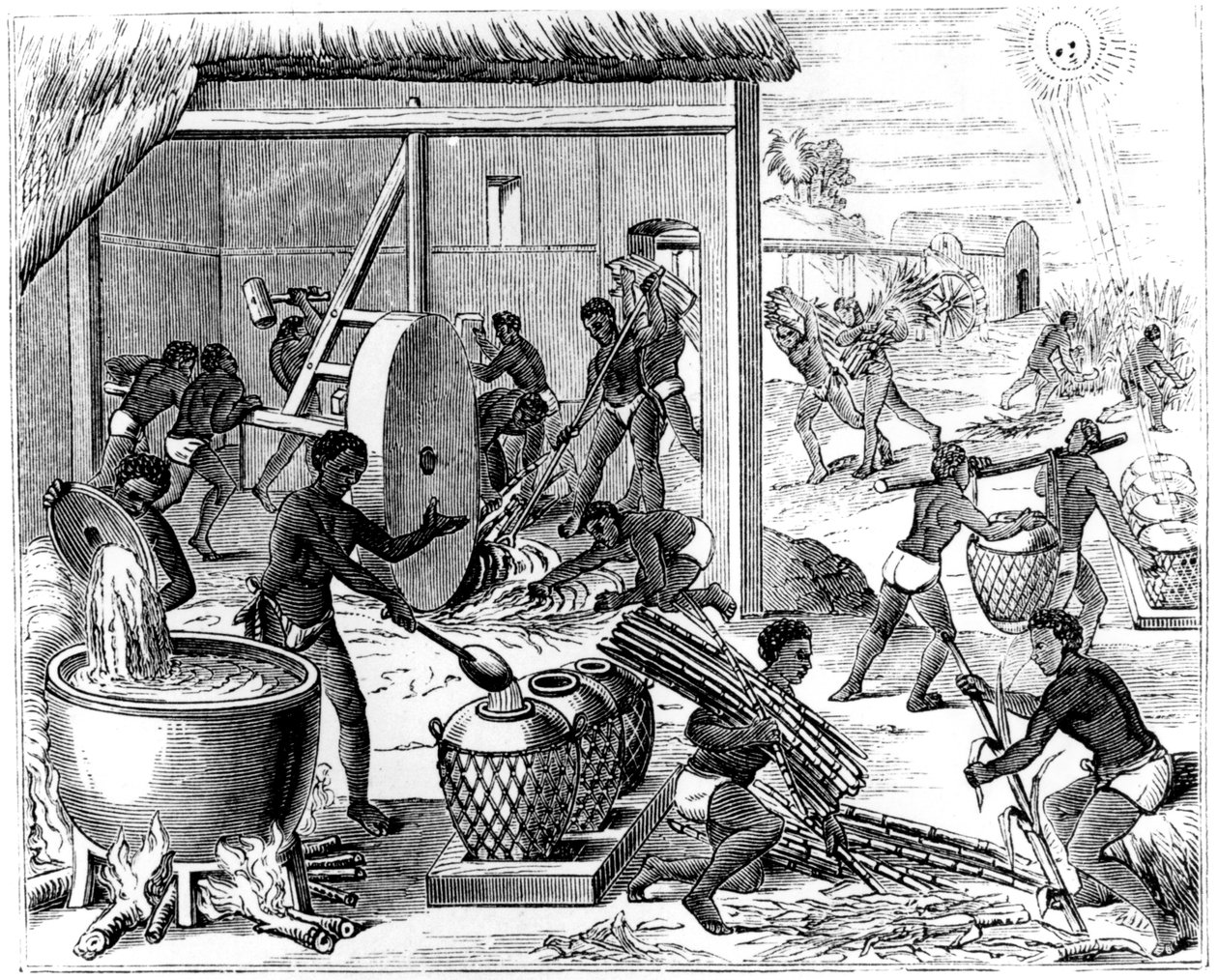 चीनी का उत्पादन, 1873 द्वारा अज्ञात