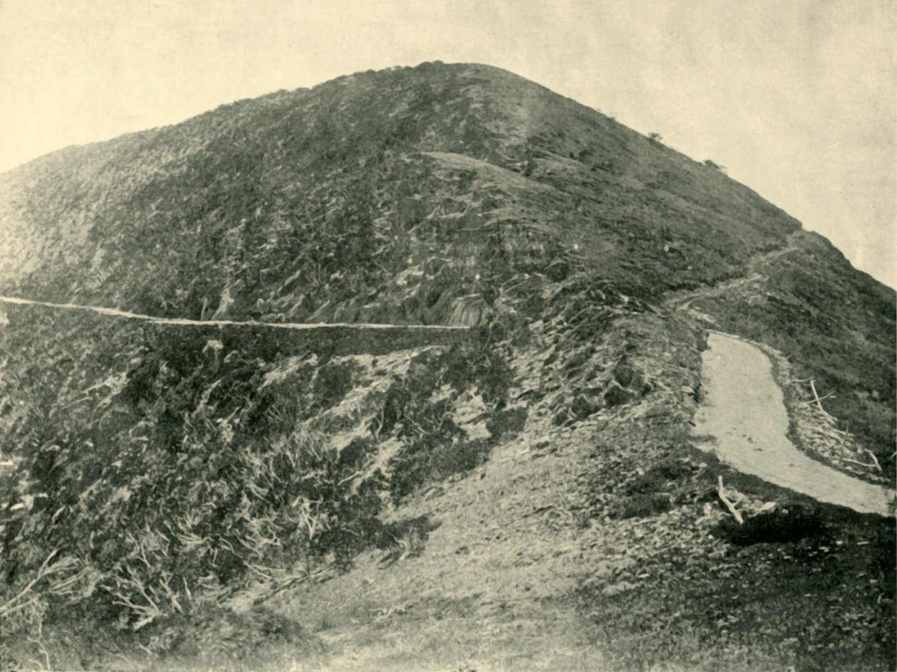 माउंट ब्लरहार्ड, विक्टोरियन एल्प्स, 1901 का शिखर सम्मेलन। द्वारा अज्ञात