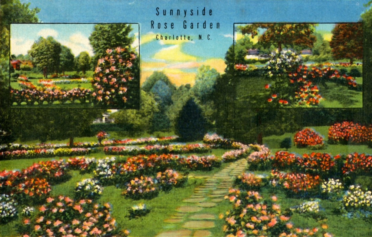 सुन्नीसाइड रोज गार्डन, शेर्लोट, नेकां, 1942। द्वारा अज्ञात