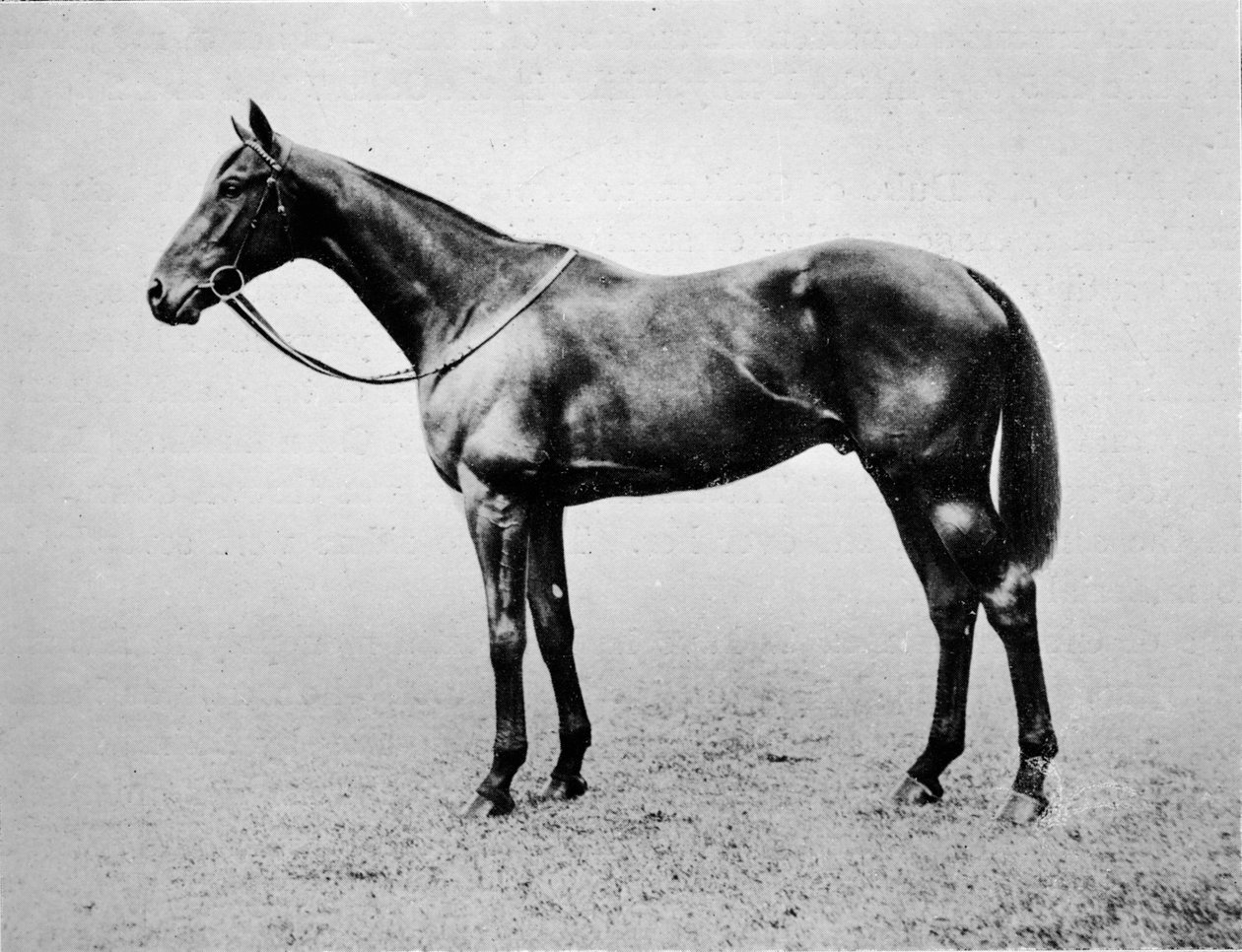 स्विनफोर्ड, 1907-1928, 1911 द्वारा अज्ञात