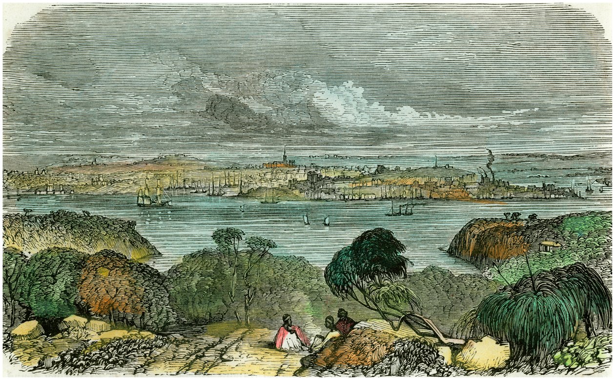सिडनी, न्यू साउथ वेल्स, ऑस्ट्रेलिया, c1870 द्वारा अज्ञात