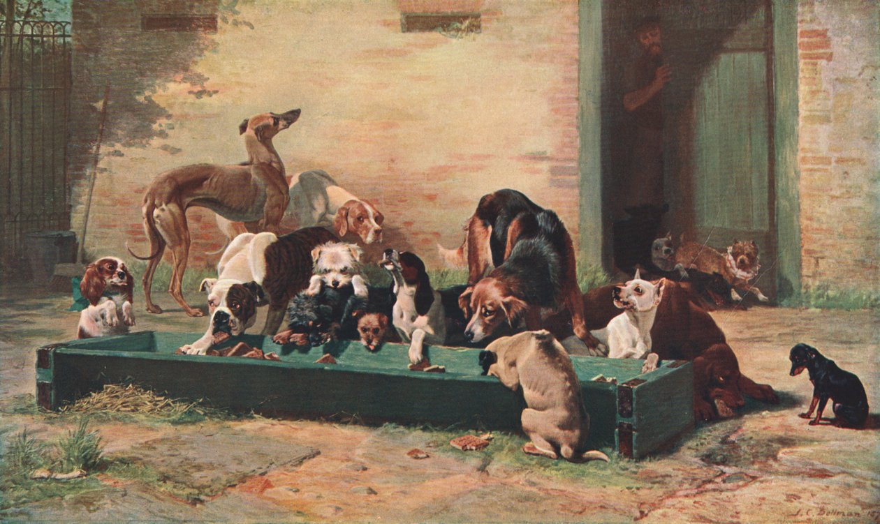 डॉग होम, 1880, c1902 में तालिका dHote द्वारा अज्ञात