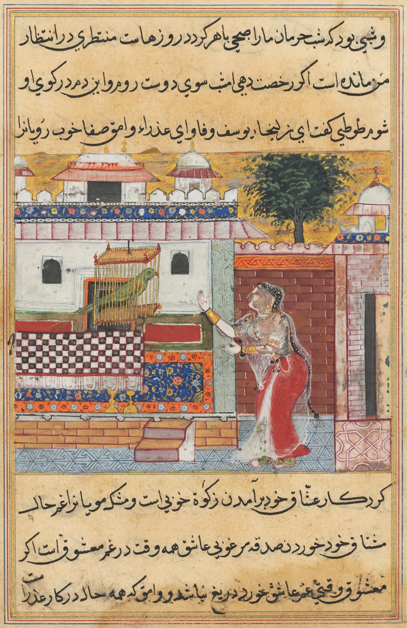 एक तोते की दास्तां Tuti-nama: बारहवीं रात: तोता Khujasta ..., सी को संबोधित करता है। 1560। द्वारा अज्ञात