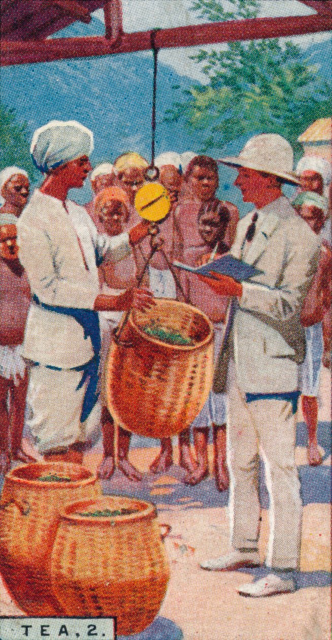 चाय, 2. - द वेटिंग द पिकिंग्स, सीलोन, 1928 द्वारा अज्ञात