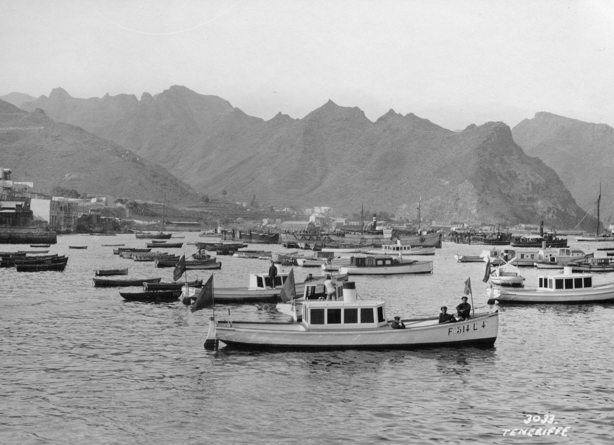 टेनेरिफ़, कैनरी द्वीप, स्पेन, c1920s-c1930s द्वारा अज्ञात