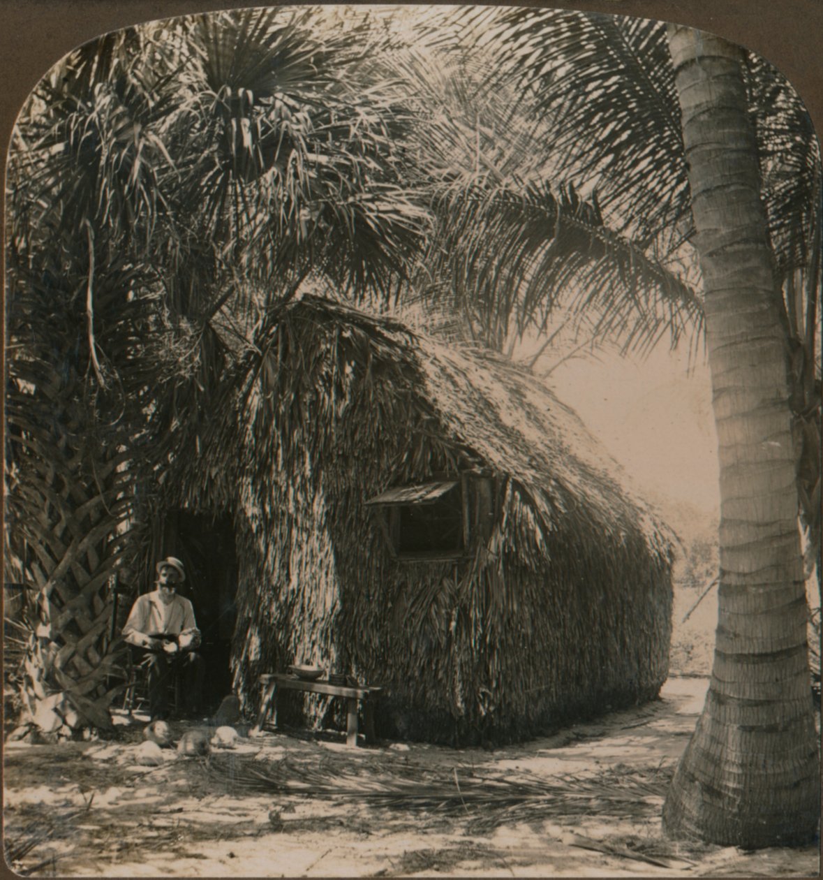 कोकोनट ग्रोव, फ्लोरिडा, संयुक्त राज्य अमेरिका, c1900 में थाट कॉटेज द्वारा अज्ञात