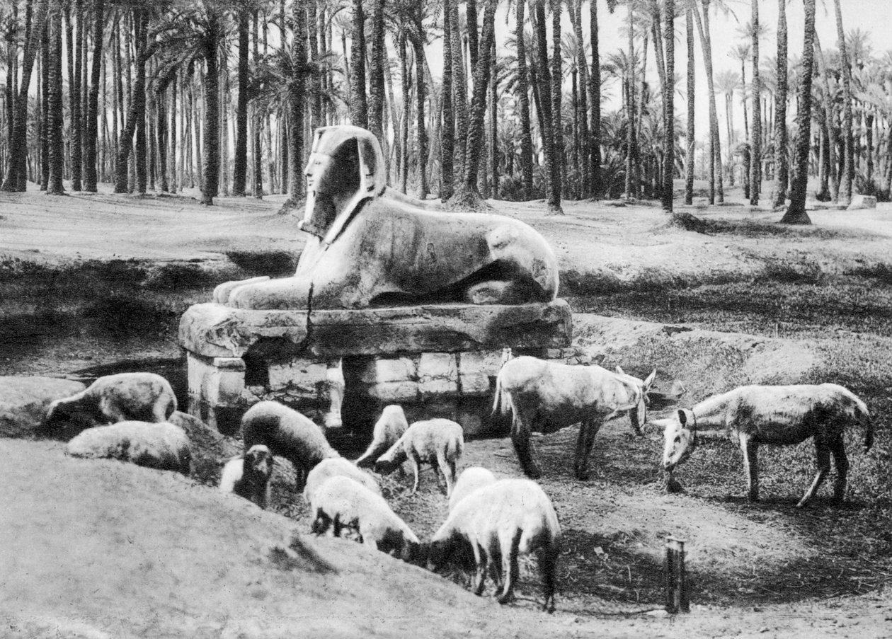 अलबास्टर स्फिंक्स, काहिरा, मिस्र, c1920s द्वारा अज्ञात