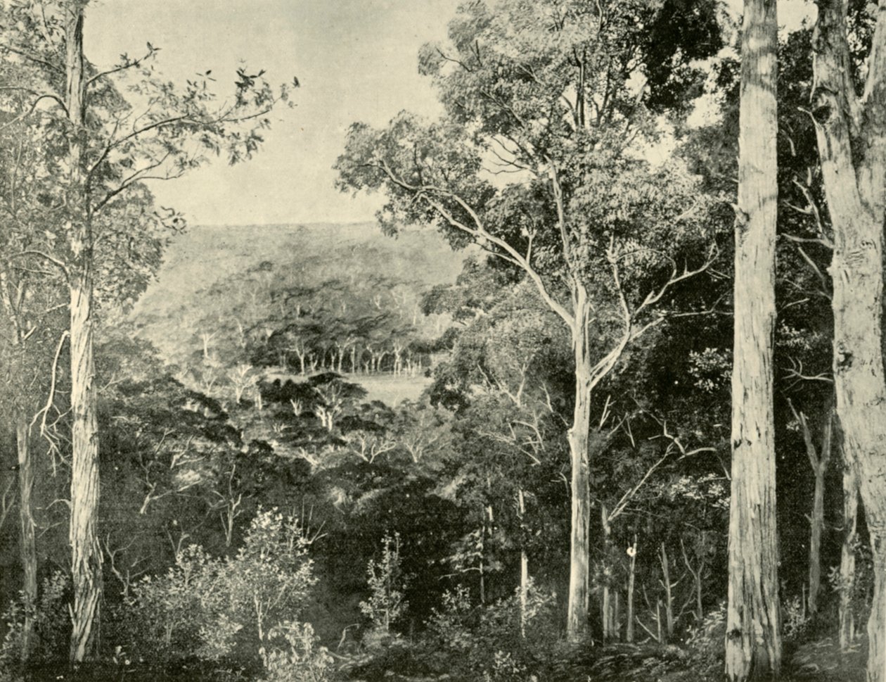द ब्लू माउंटेंस, 1901। द्वारा अज्ञात