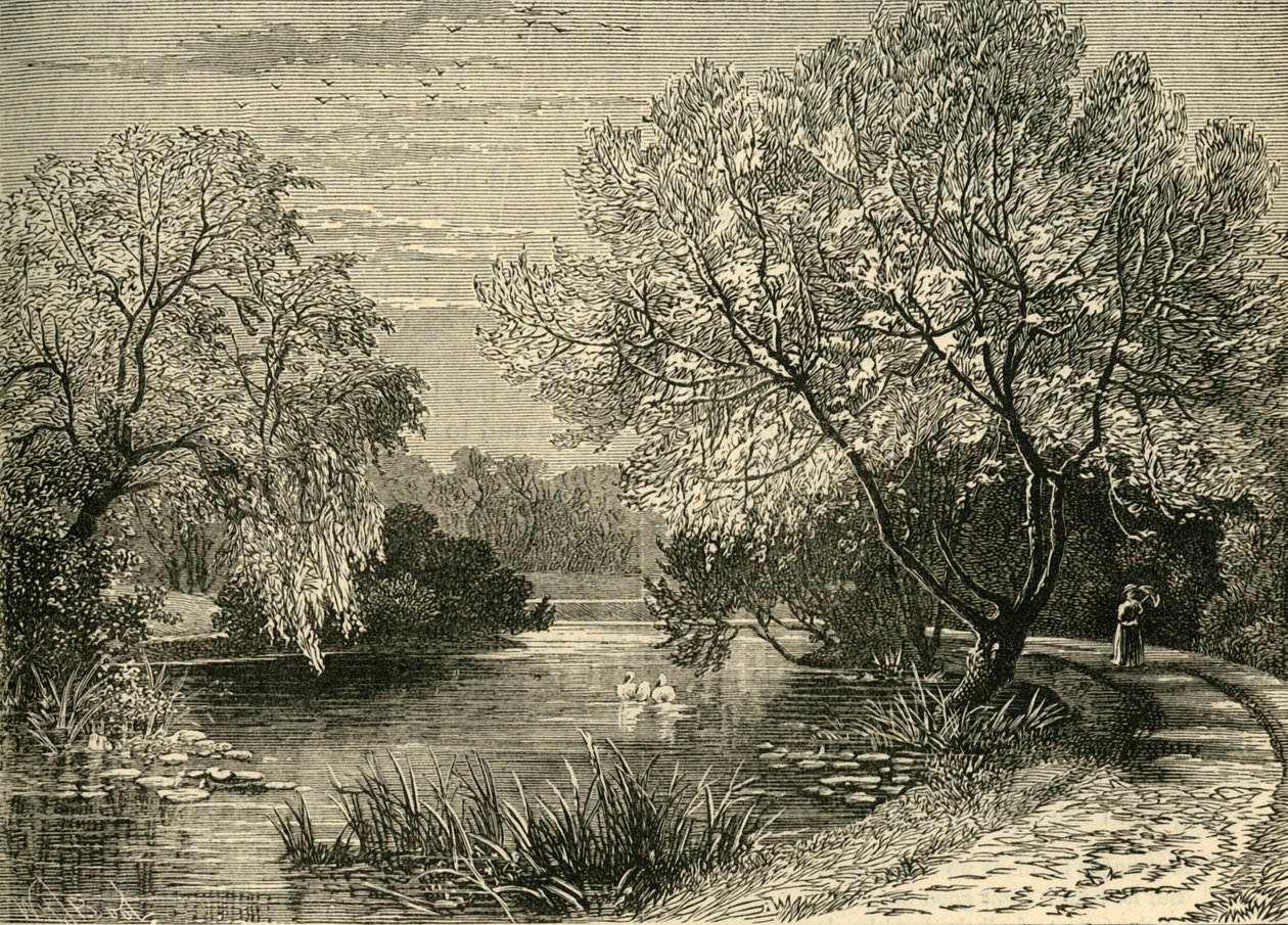 बॉटनिकल गार्डन, रीजेंट्स पार्क, c1876। द्वारा अज्ञात