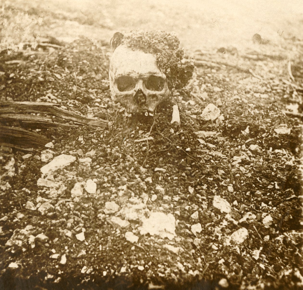 द क्राउन प्रिंस, वर्दुन, उत्तरी फ्रांस, 1916 द्वारा अज्ञात