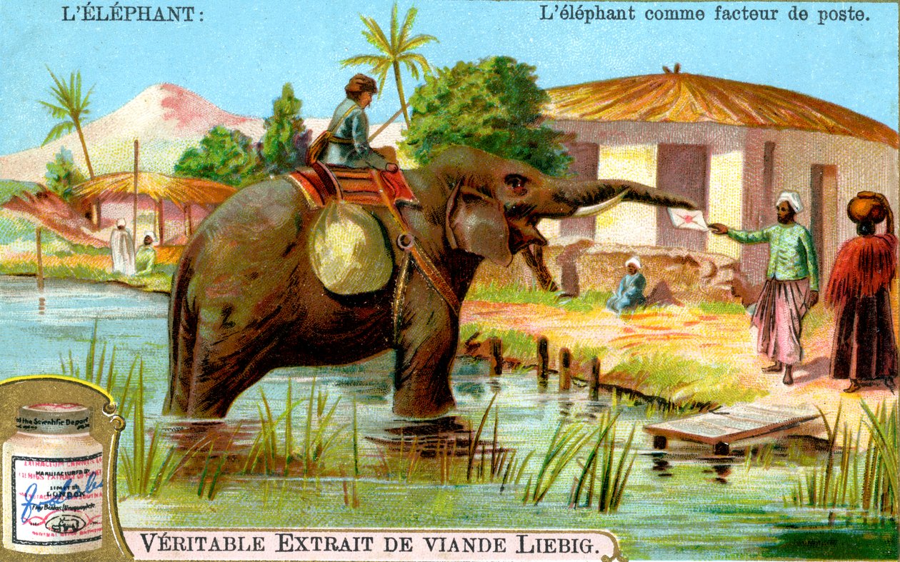 हाथी को डाकिया के रूप में, c1900 द्वारा अज्ञात